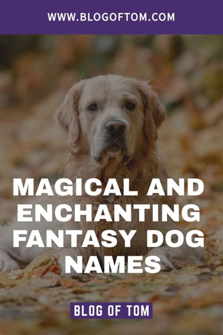 Discover Enchanting Tamil Dog Names For Male