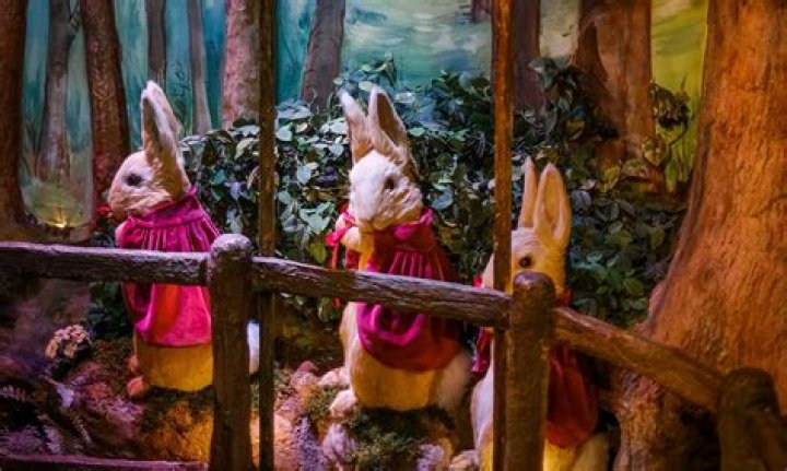 Discover The Enchanting World Of "Stella Barey Dainty Wilder"