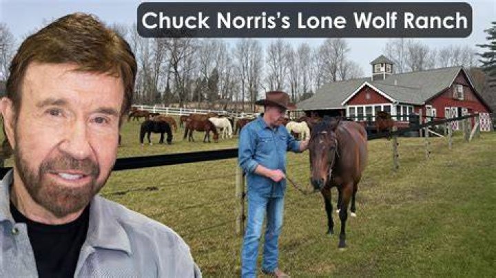 Discover The Hidden World Of Chuck Norris's Texas Ranch