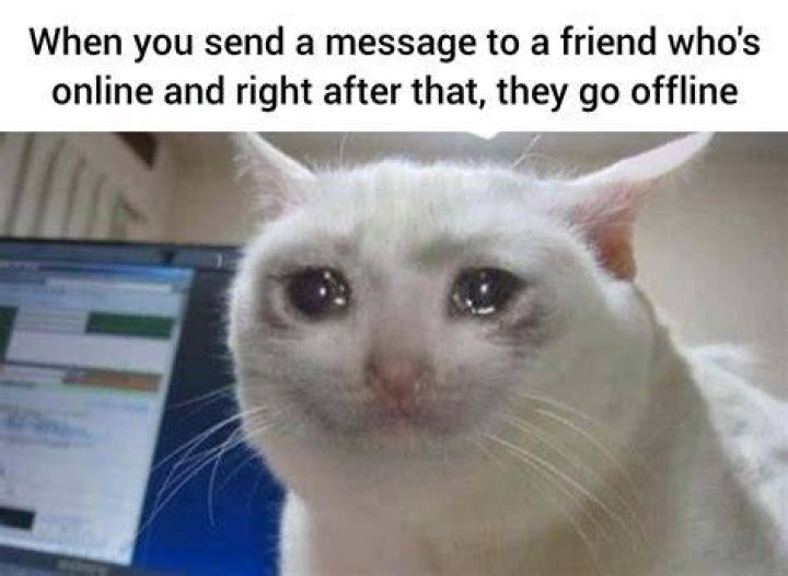Discover The Secrets And Brilliance Of Funny Meme Life