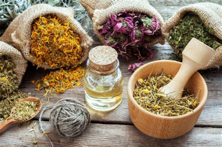 Discover The Secrets Of Rosy Bertram: Unlocking Nature's Healing Wisdom