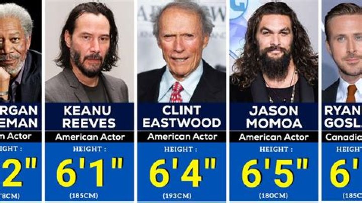 Discover The True Heights Of Your Favorite YouTube Stars