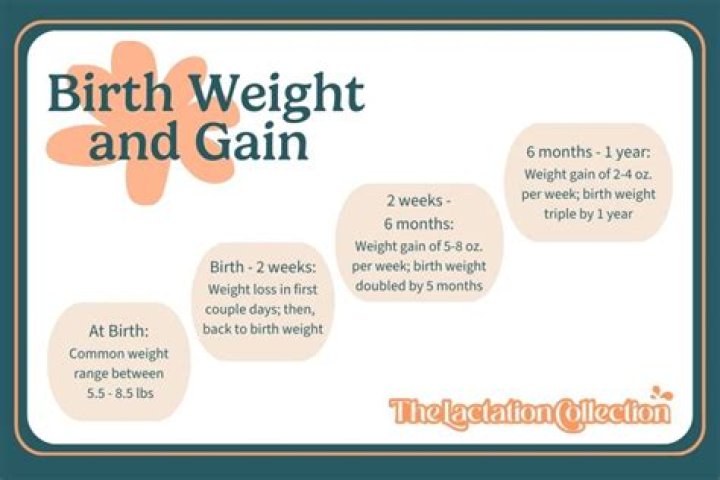Discover The Truth Behind Adam Driver's Weight Gain: Insights For The Curious