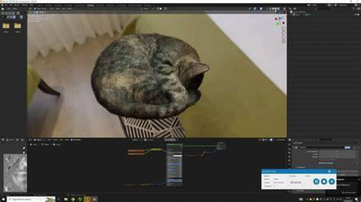 Discover The Truth Behind "What Is Cat Blender Video"
