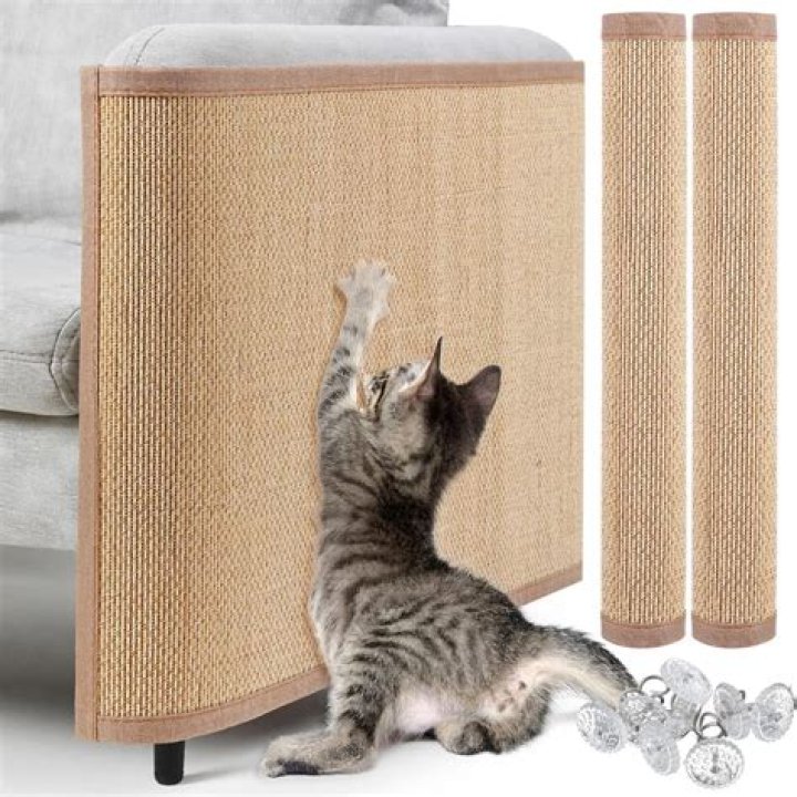 Discover The Ultimate Cat Scratch Post Paradise On Amazon: Insights And Secrets