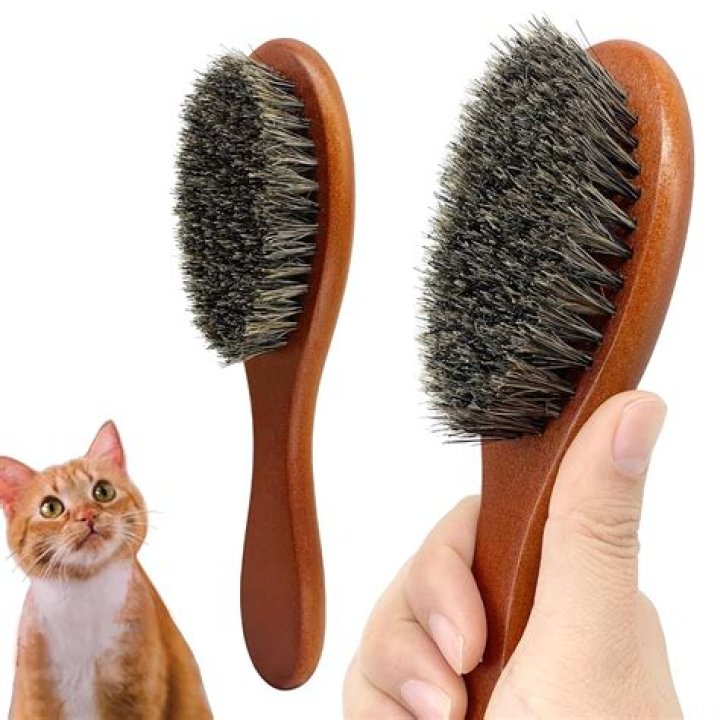 Discover The Ultimate Kitten Brush For A Silky, Tangle-Free