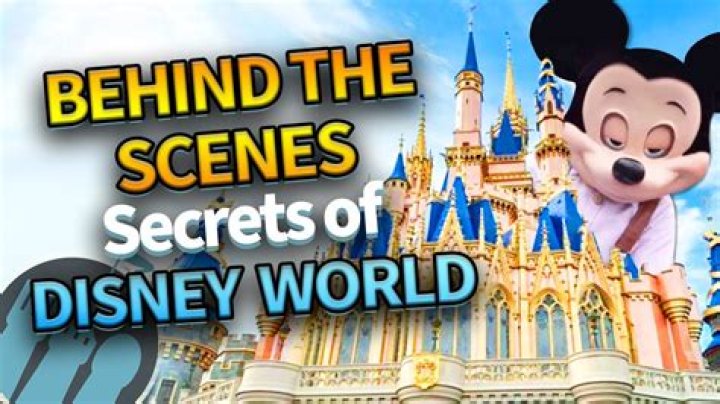 Discover The Unfiltered World Of MegNut On Fan Van: Behind-the-Scenes Secrets And Surprises
