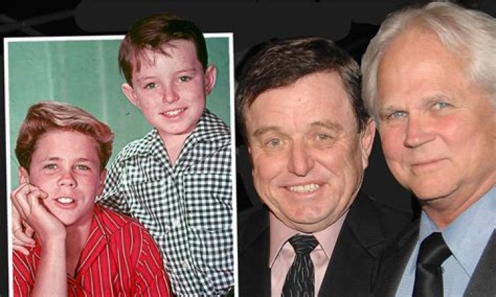 Discover The Unseen Legacy Of Tony Dow's Son, Christopher Dow!