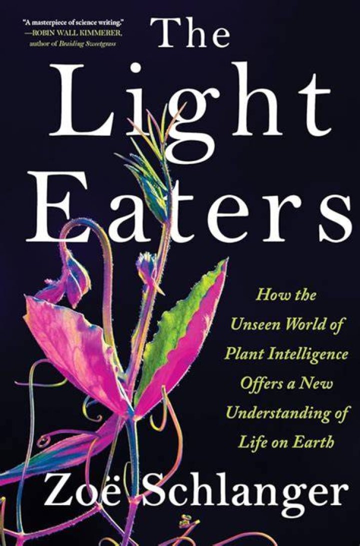 Discover The Unseen World Of Cynthia Cleese: Insights For The Editor