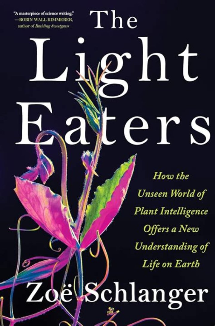 Discover The Unseen World Of Eucaris Escobar: Insights And Revelations