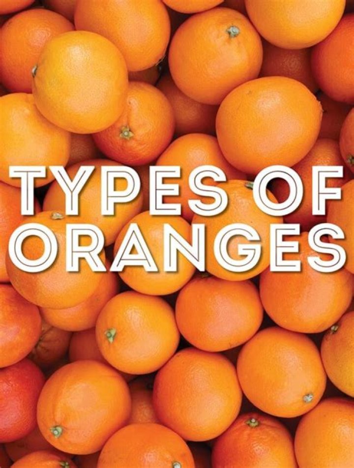 Discover The Vibrant World Of Oranges With "livetheorangelife Com Ae"