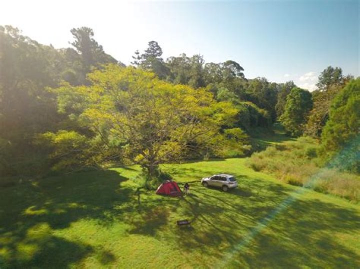 Discover The Wonders Of Camping With Blake Blossom And Daddy