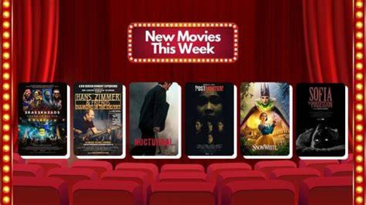 Discover The World Of Movies At Mkv Moviepoint.in