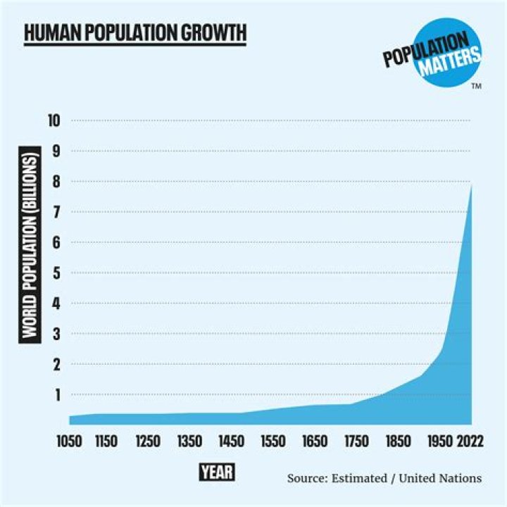 Discoveries And Insights For Growth