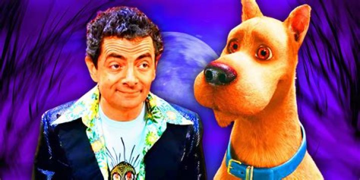 Discoveries And Insights From "Quinn Finite Scooby Doo Video"