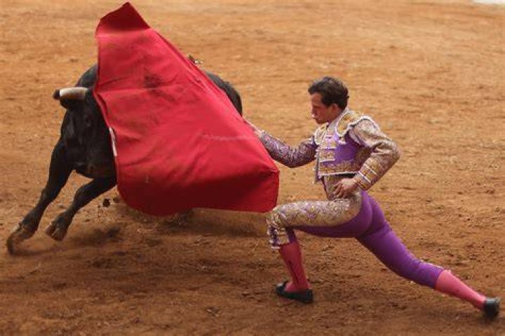 Discoveries And Insights In Bullfighting