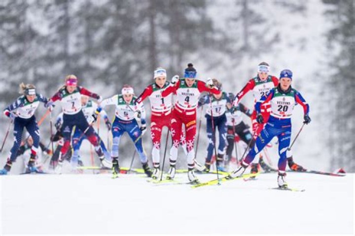 Discoveries And Insights In Cross-Country Skiing