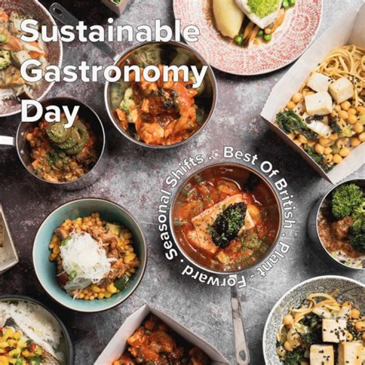 Discoveries And Insights Into Aaron May's Sustainable Gastronomy