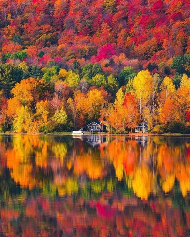 Discoveries And Insights Into "Autumn Falls And Violet Myers"