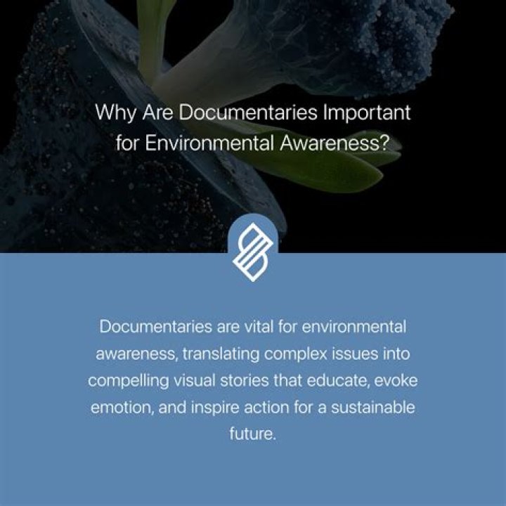 Discoveries And Insights Into Groundbreaking Documentaries