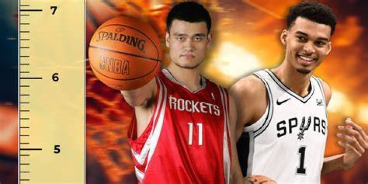 Discoveries And Insights Into The World Of TJ Basketball Players
