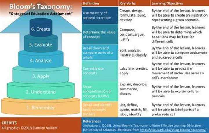 Discoveries And Insights On "Bloom Within"