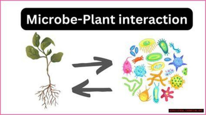 Discoveries And Insights Through Microbe Emojis