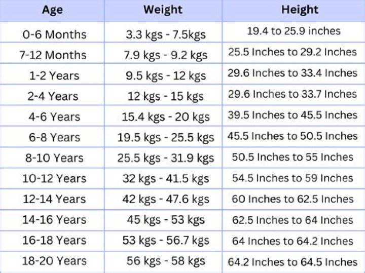 Discoveries From His Wikipedia, Age, And Height