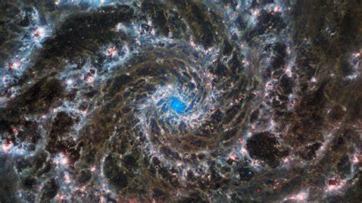 Discoveries From Space Explorers Shivani Ruparelia And Carlo Marks