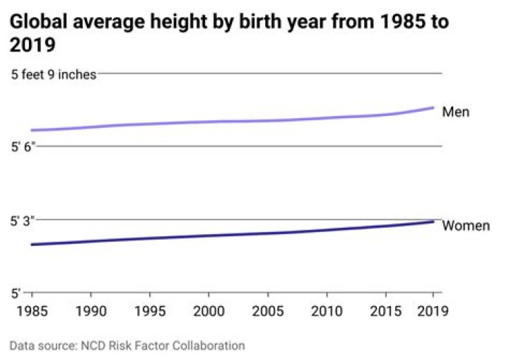 Discoveries In Ethnicity, Height, And Age