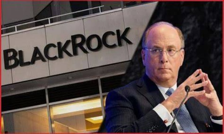 Discovering BlackRock: The Financial Powerhouse