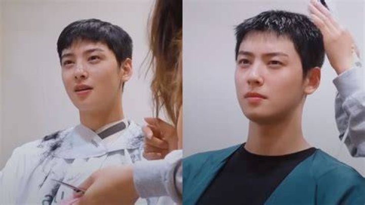 Discovering Cha Eun Woo's Brother: The Hidden Gem Of The Astro Star