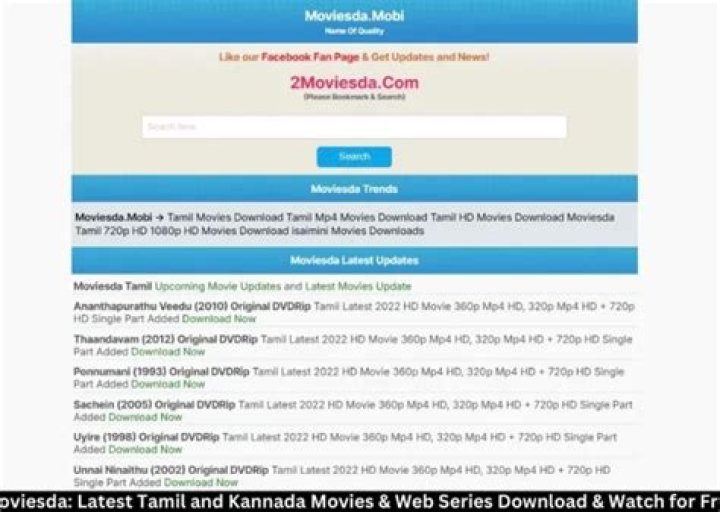 Discovering MKVMoviesPoint For Bollywood Movies Download