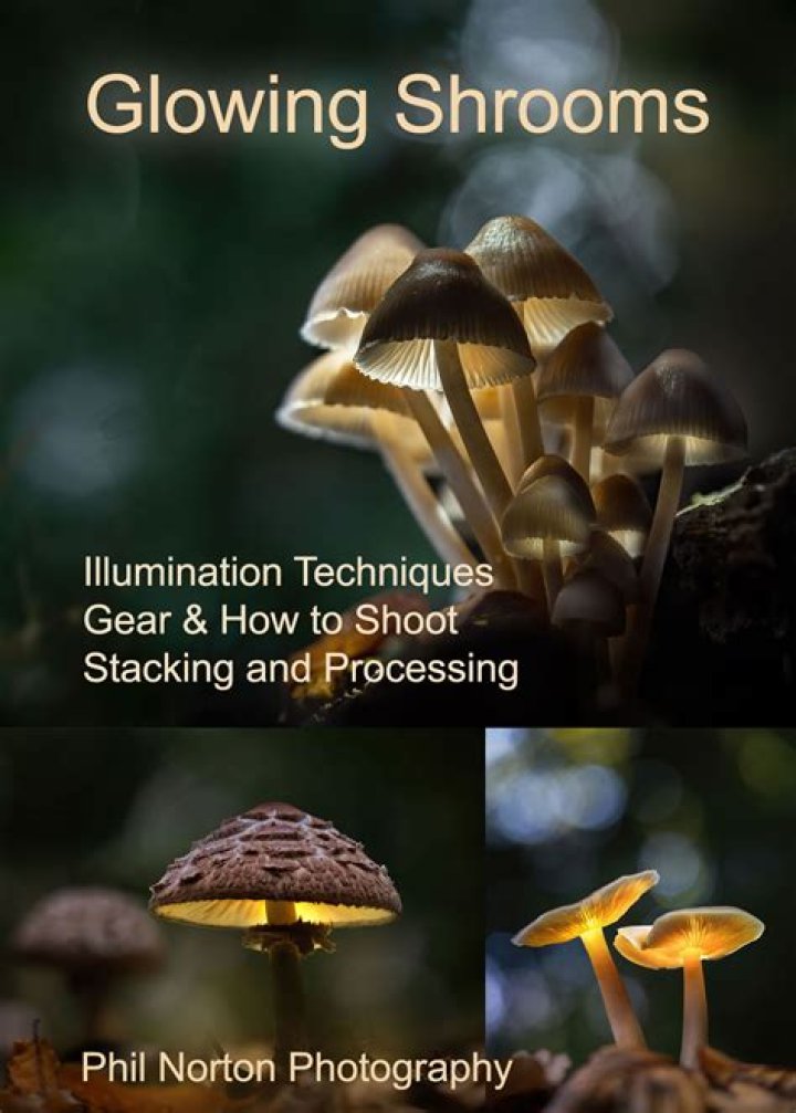Discovering Shrooms Q: A Complete Guide