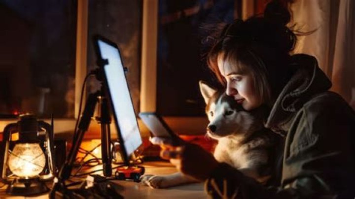 Discovering The Charm Of Skirby Dogs