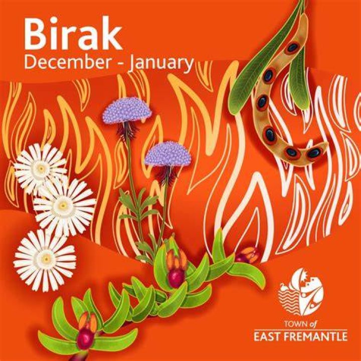 Discovering The Enigmatic World Of Birak Deniz