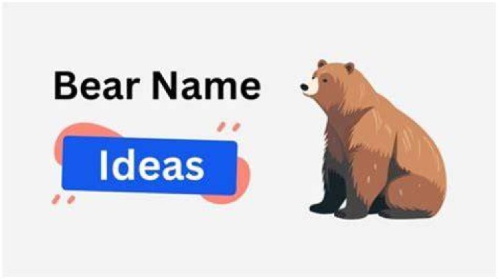 Discovering The World Of Famous Bear Names