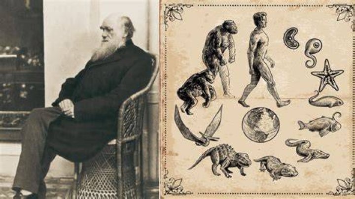 Dive Into The Extraordinary Legacy And Discoveries Of Charles Darwin