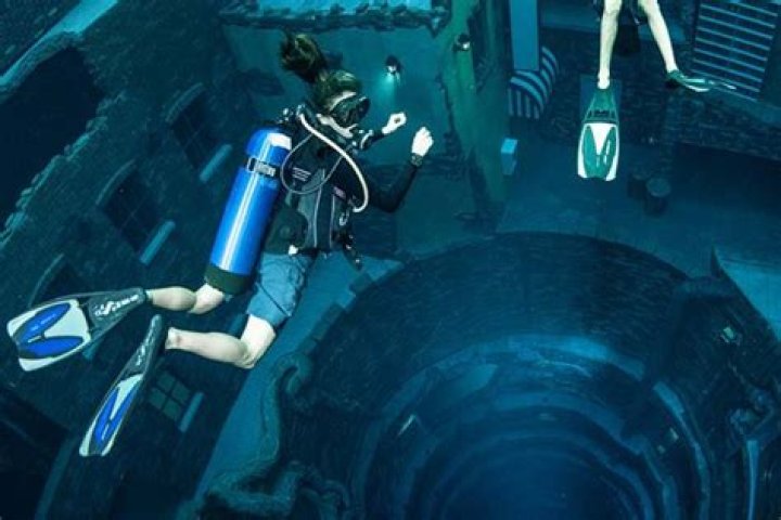 Dive Into The World Of Austin College