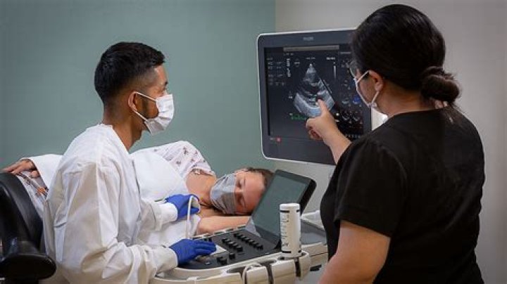 El Centro: 2017-2018 Catalog - Degree Plans - Cardiac Sonography