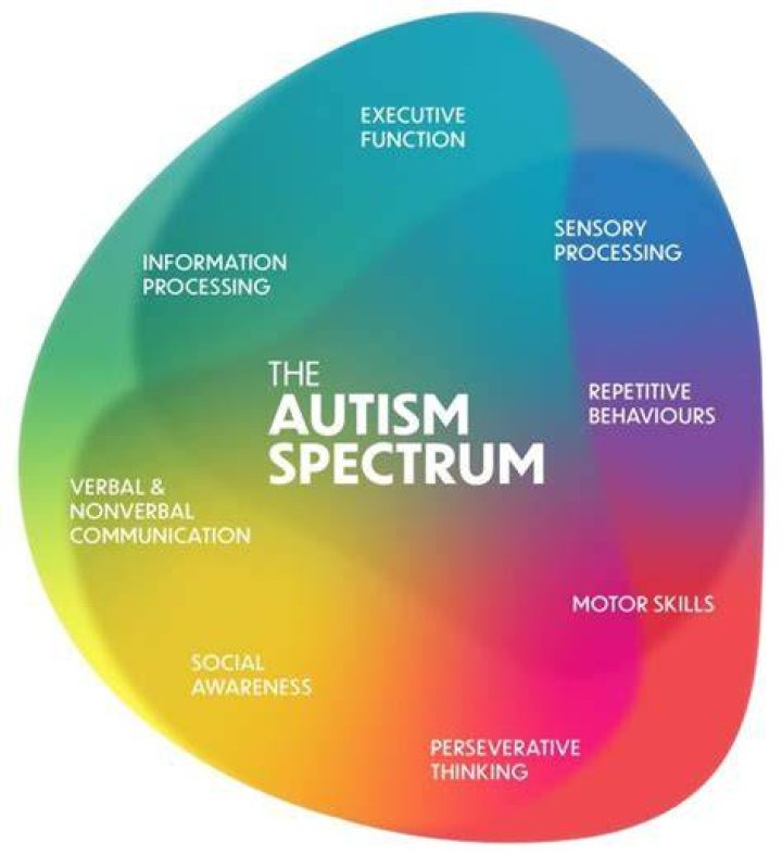 Elizabeth Holmes And The Autism Spectrum