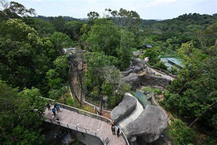 Embark On An Unforgettable Adventure With Loved Ones