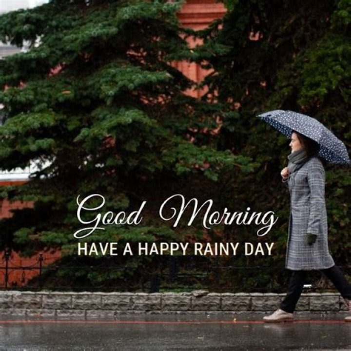 Embracing The Beauty Of A Good Morning Rainy Day