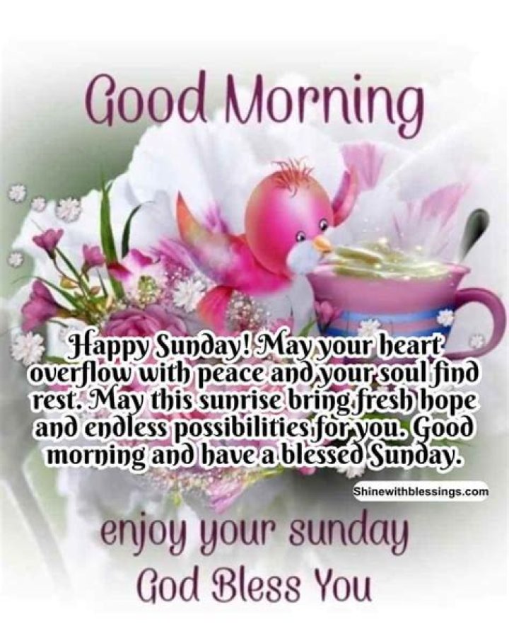 Embracing The Joy Of A Good Morning Beautiful Sunday