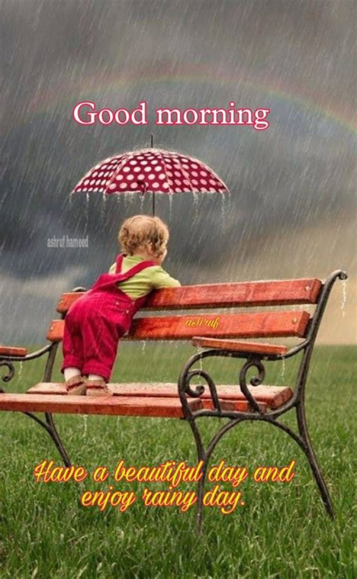 Embracing The Pitter-Patter: Rainy Good Morning Messages To Brighten Your Day