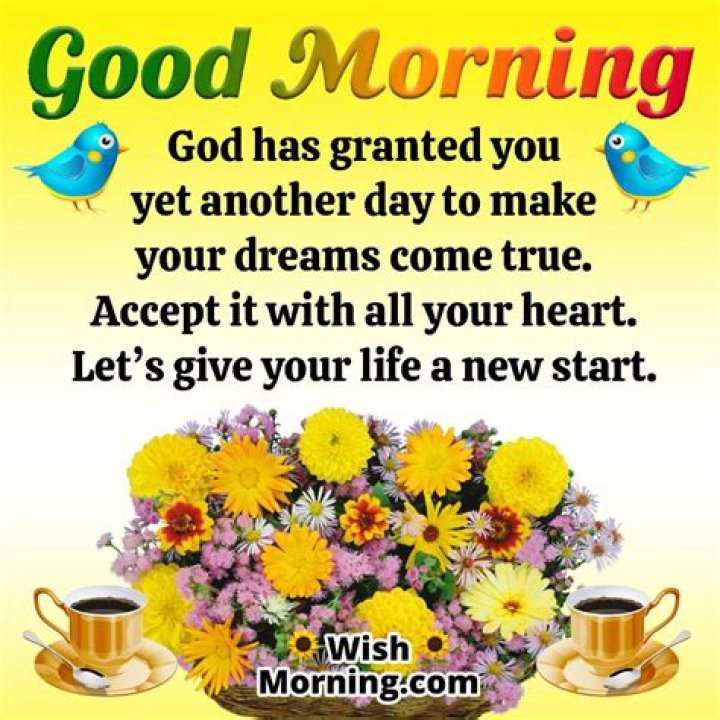 Embracing The Serenity: Rain Good Morning Messages To Brighten Your Day
