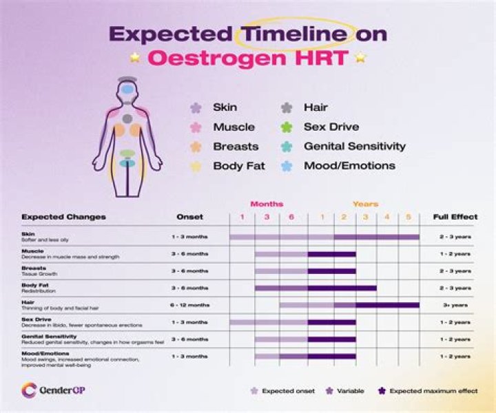 Estrogen Hormone Therapy: Your Guide & Journey | Start Here