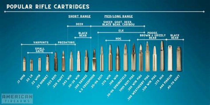 Exceptional Standards: A Comprehensive Test For High-Caliber Men