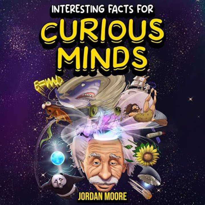 Exclusive Insights For Curious Minds