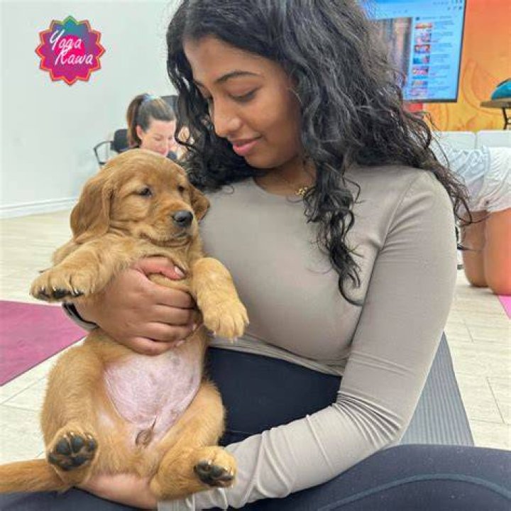 Experience Tranquility: Pittsburgh Puppy Yoga Extravaganza 2024